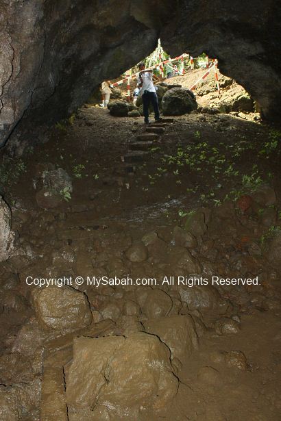 Japanese War Tunnel