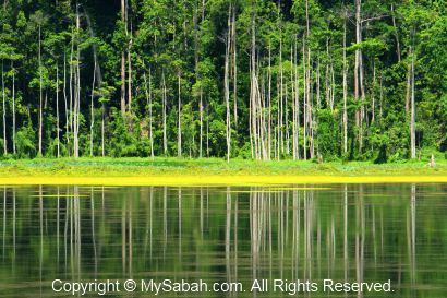 Impian Lake