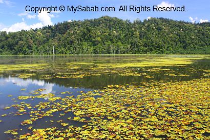 Impian Lake