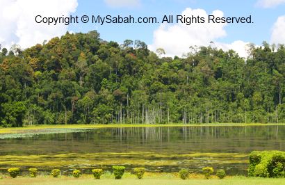 Impian Lake