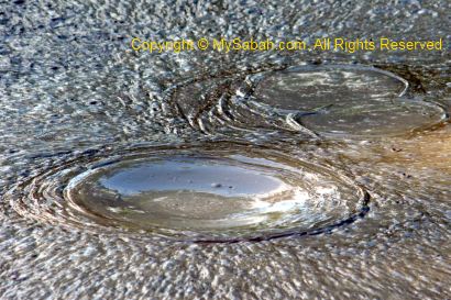 Bubbling in mud pool