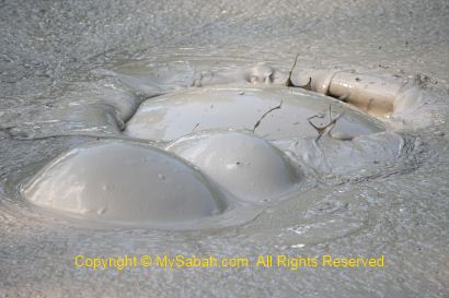 Bubbling in mud pool