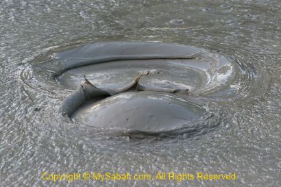 Bubbling in mud pool