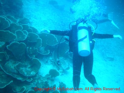 Diving in Tabawan Island