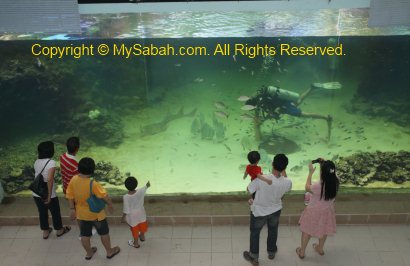 Ocean Zone Aquarium