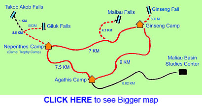 Trail of Maliau Basin