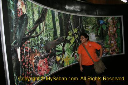  Maliau Basin Information Building 