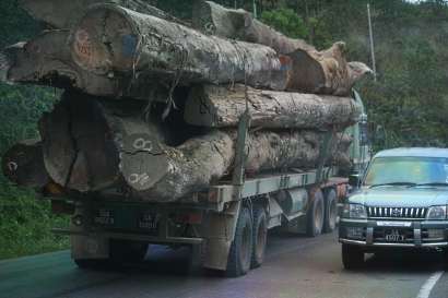 Dangerous logging truck