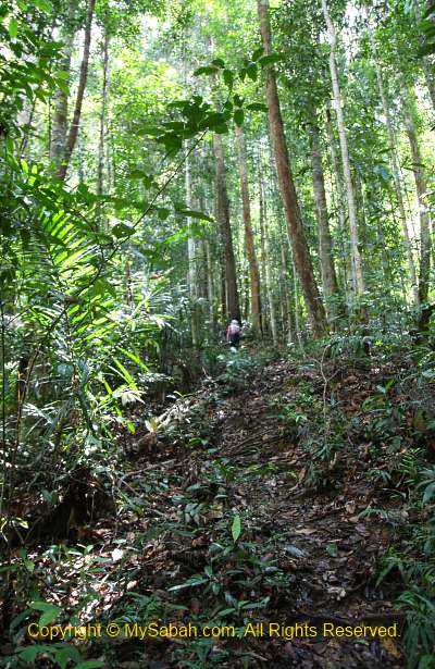 steep trail