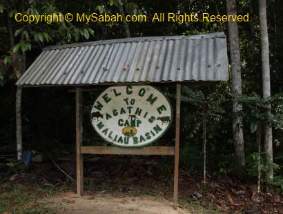 Agathis Camp signage