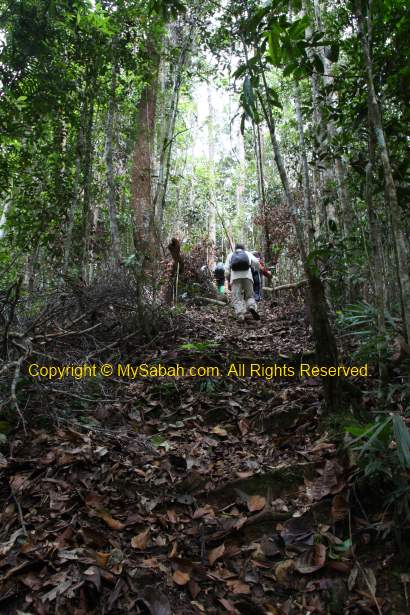 going to Nepenthes Camp