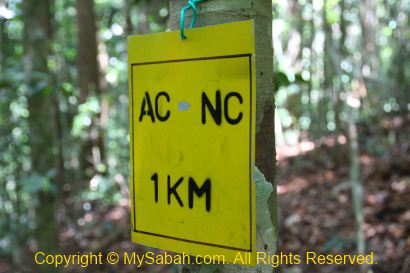 signage to Agathis Camp