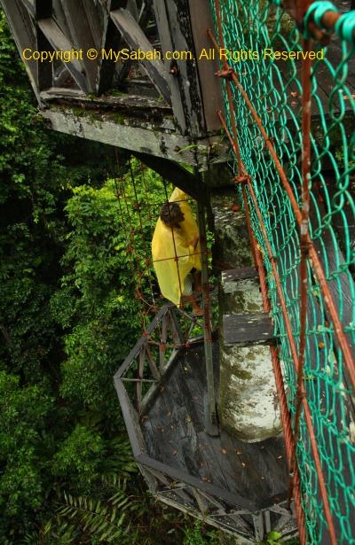 canopy walk