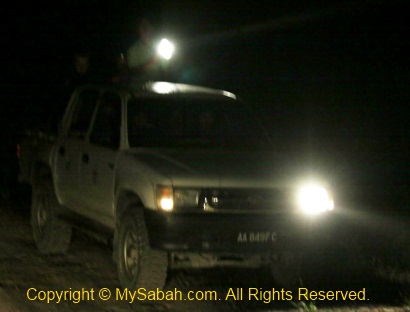 night safari