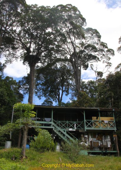 Observation Tower and Nepenthes Camp
