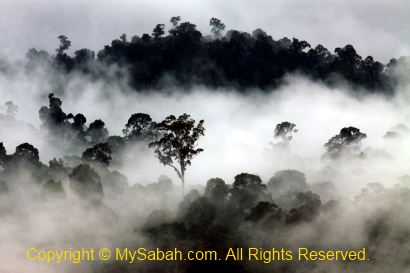 sunrise in Maliau Basin