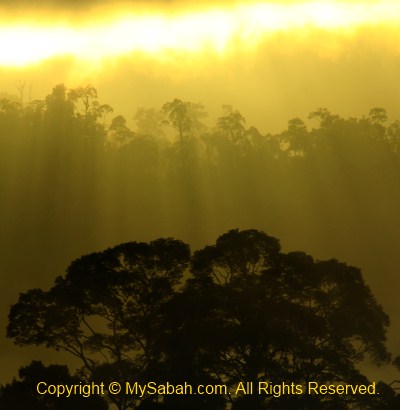 sunrise in Maliau Basin