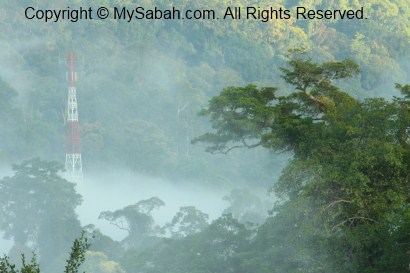 sunrise in Maliau Basin