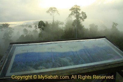 sunrise in Maliau Basin