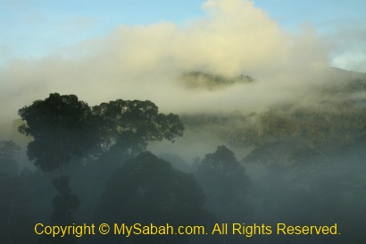 sunrise in Maliau Basin