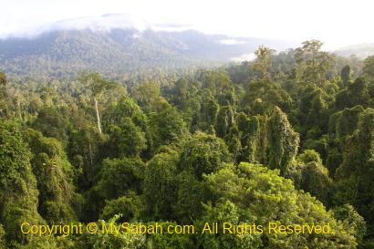 sunrise in Maliau Basin