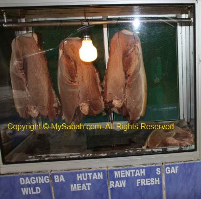wild boar meat for sale