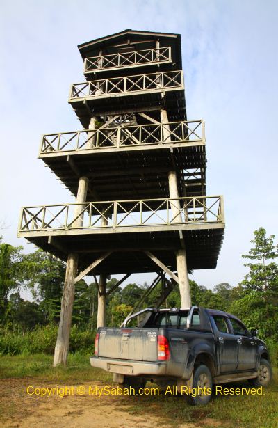 Maliau Rim Observation Tower