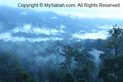 sunrise in Maliau Basin