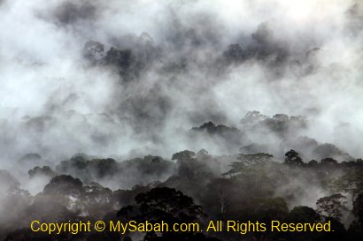 sunrise in Maliau Basin