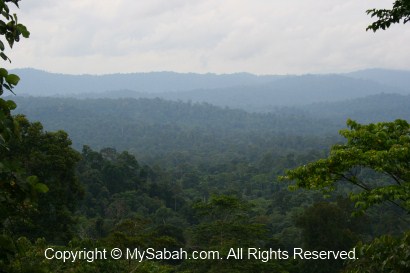 Maliau Basin View Point