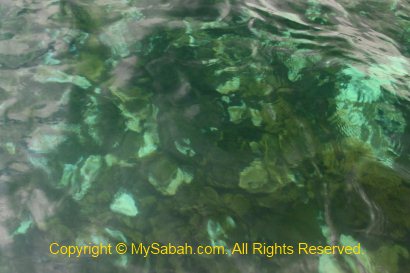 Coral bleaching in Usukan Cove Lodge