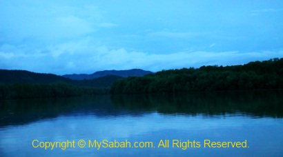 Mangrove forest of Abai River