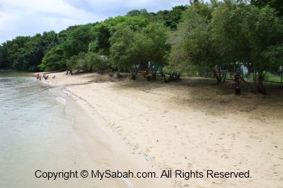 Beach of Usukan Cove Lodge