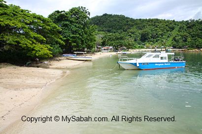 Beach of Usukan Cove Lodge