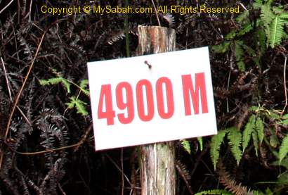 4900M signage
