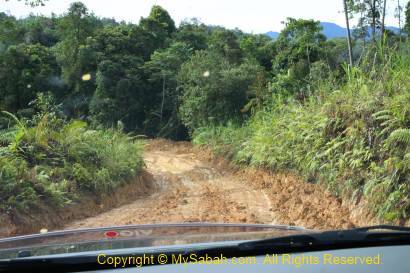 Muddy road to Mt. Trusmadi