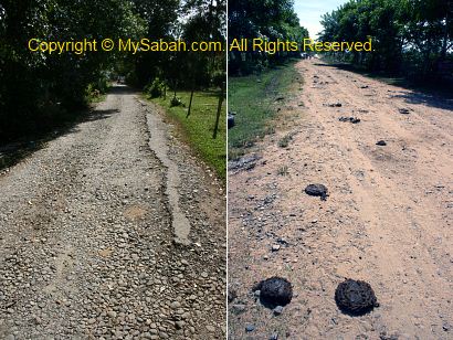 Gravel road of in Kota Belud