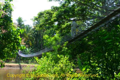 Crossing bridge in Kota Belud