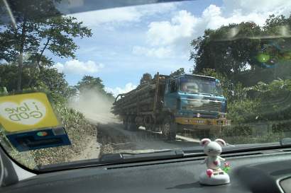 Logging truck of SFI