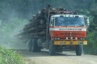 Logging in Long Pasia