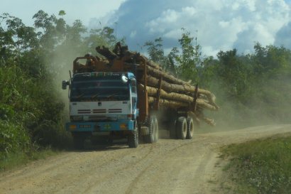 Logging in Long Pasia