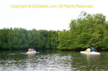 Kayaking in Mengkabong River