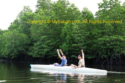 Kayaking in Mengkabong River