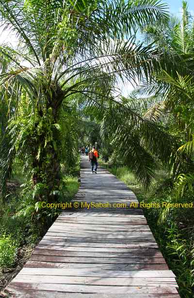 Boardwalk to Garama Base Camp