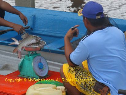 fishermen of Weston