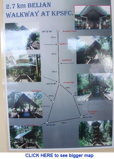 boardwalk map of Klias Peat Swamp Field Center