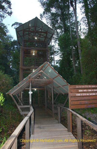 bird watching tower