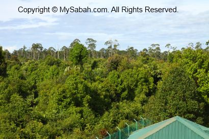 Klias Peat Swamp Field Center