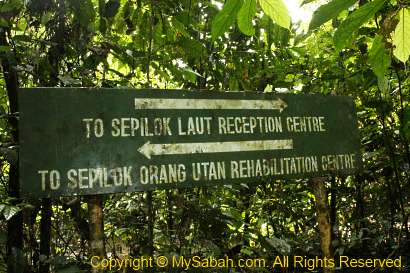 signage in Sepilok forest