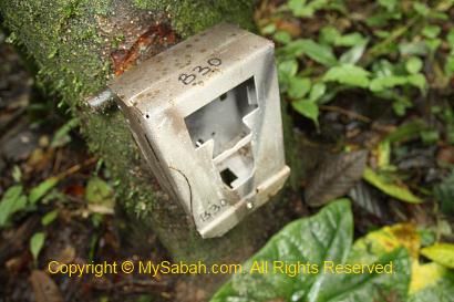 camera trap